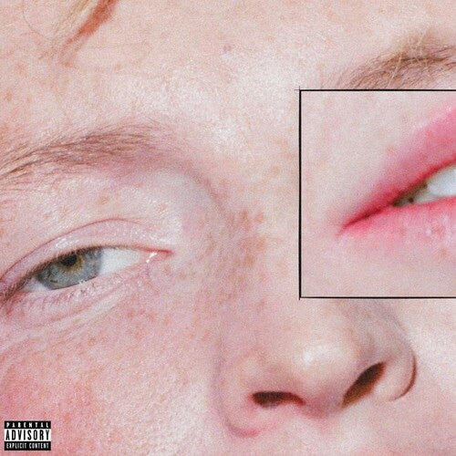 The Greeting Committee - Dandelion