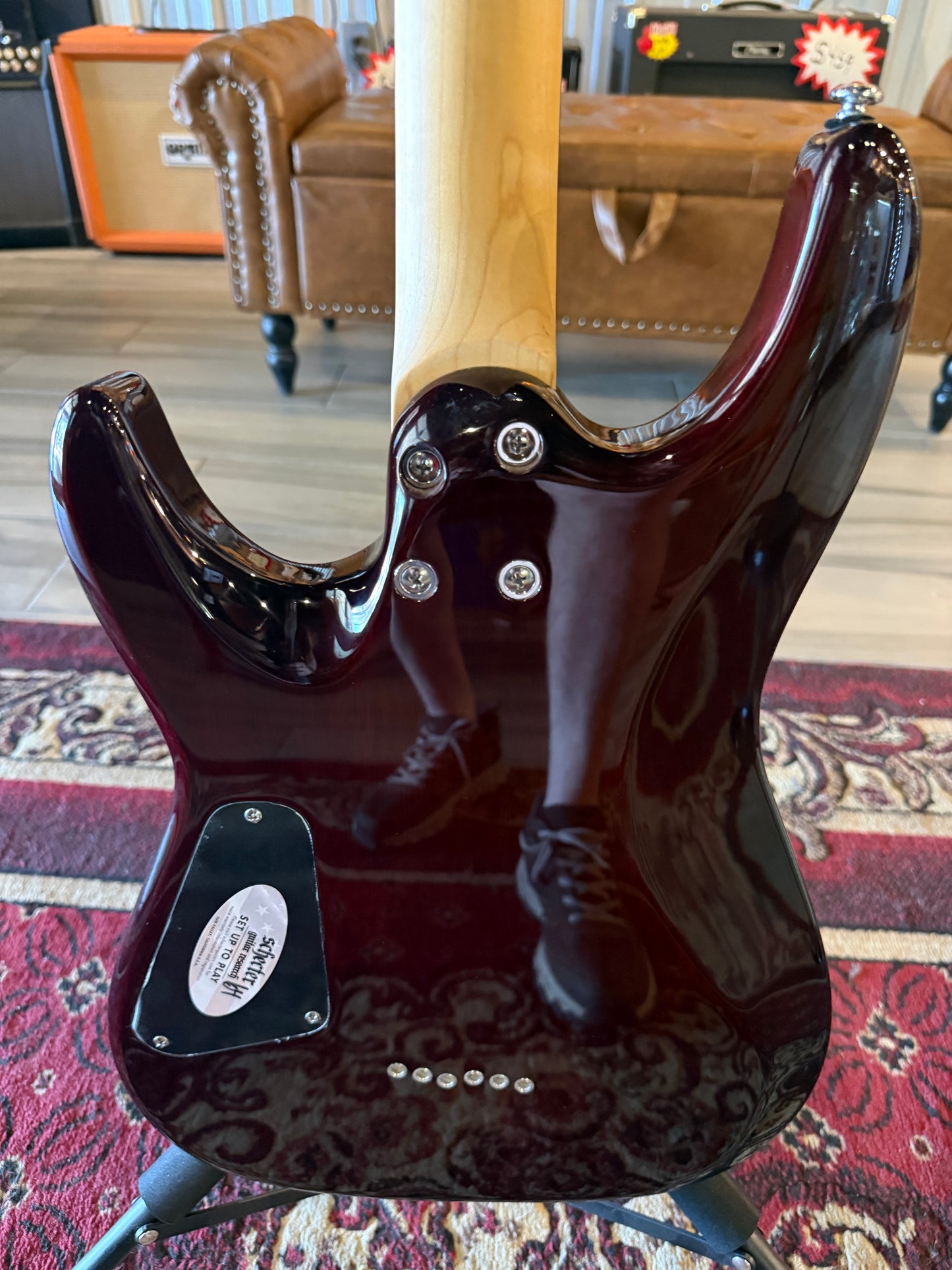 Schecter - C-6 Plus (Store Demo Savings)