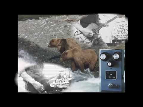 BROWNE AMPLIFICATION T4 FUZZ PEDAL LUKE SULLIVANT DEMO