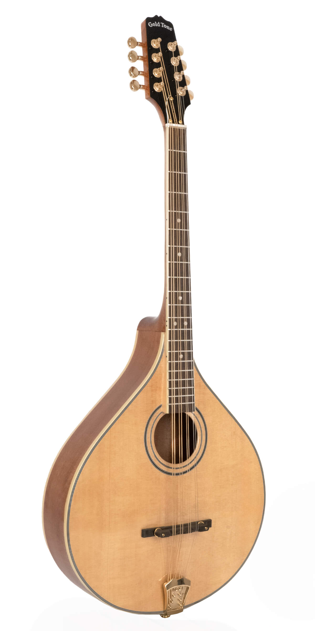 Gold Tone - OM-800+: Octave Mandolin with Case