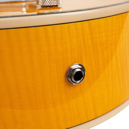Gold Tone - Mojo: Round-neck Resonator Guitar with Pickup and Case