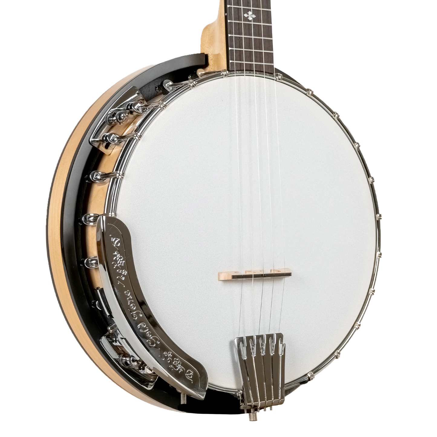 Gold Tone - CC-100R: Cripple Creek Resonator Banjo with Gig Bag