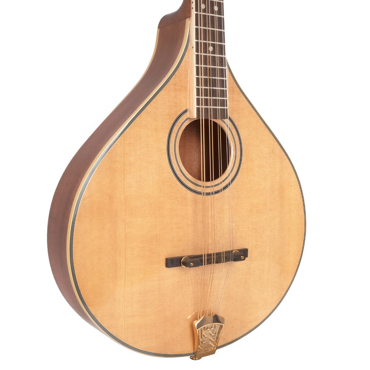 Gold Tone - OM-800+: Octave Mandolin with Case
