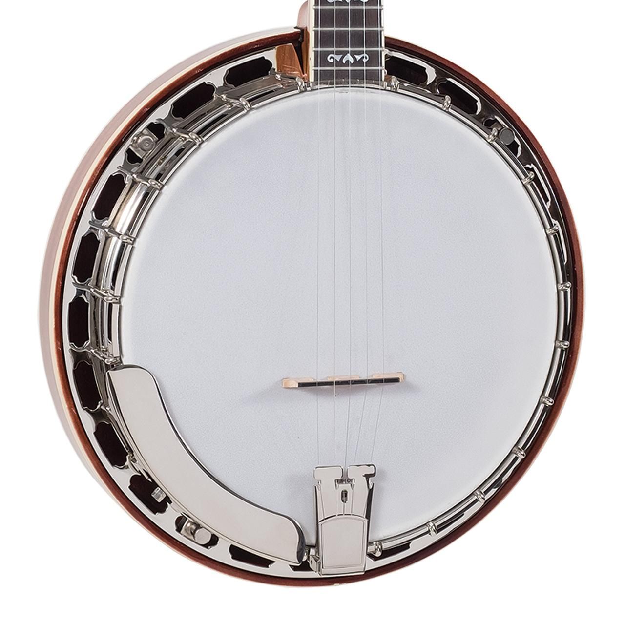 Recording King - RK-ELITE-75 Recording King Resonator Banjo, The Elite Flying Eagle