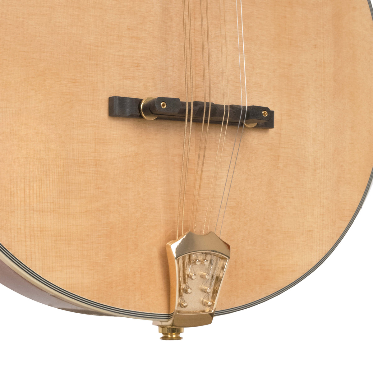 Gold Tone - OM-800+: Octave Mandolin with Case