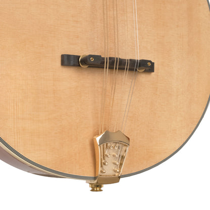 Gold Tone - OM-800+: Octave Mandolin with Case
