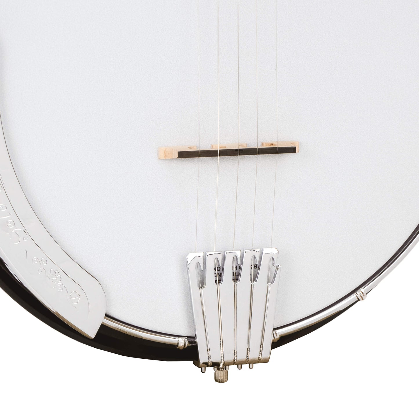 Gold Tone - AC-5: Acoustic Composite 5-String Banjo with Gig Bag