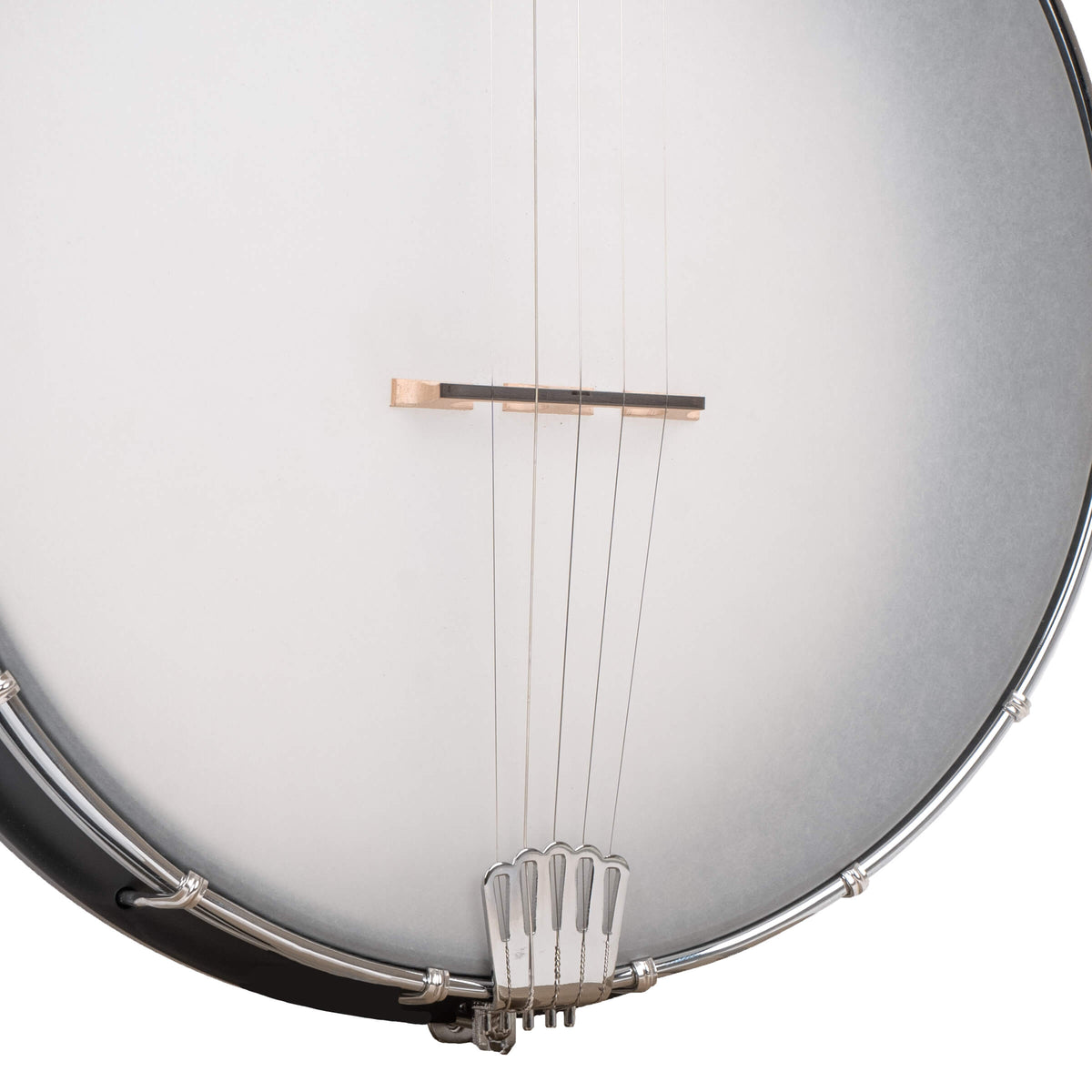Gold Tone - AC-12: 12" Acoustic Composite 5-String Openback Banjo with Gig Bag