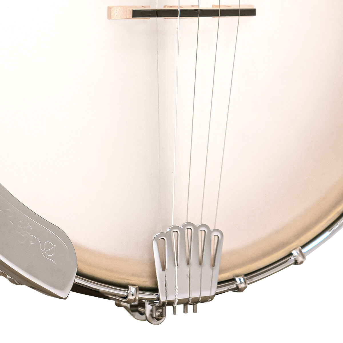 Gold Tone - CC-Carlin12: Cripple Creek Bob Carlin Banjo with Gig Bag