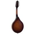 The Loar - LM-110 Honey Creek A-Style Mandolin