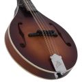 The Loar - LM-110 Honey Creek A-Style Mandolin