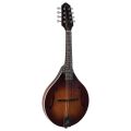 The Loar - LM-110 Honey Creek A-Style Mandolin