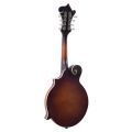 The Loar - LM-310F Honey Creek F-Style Mandolin