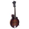 The Loar - LM-310F Honey Creek F-Style Mandolin