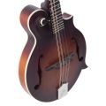 The Loar - LM-310F Honey Creek F-Style Mandolin