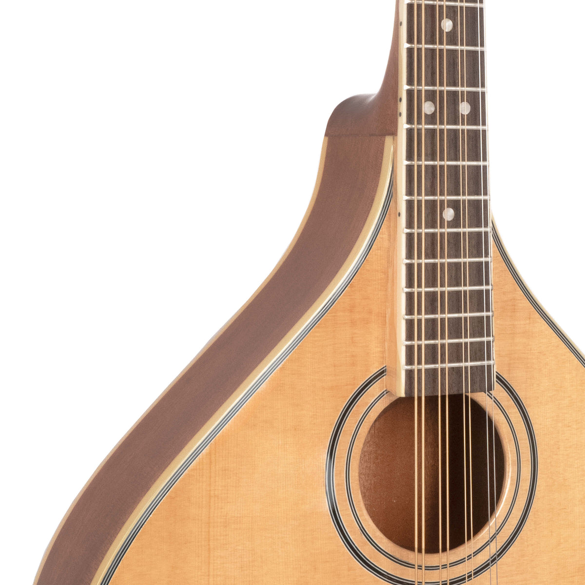 Gold Tone - OM-800+: Octave Mandolin with Case