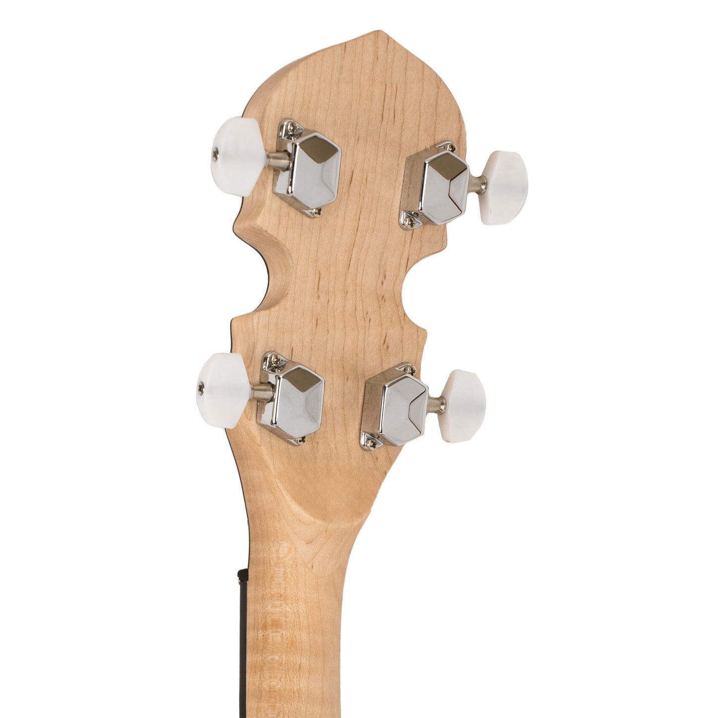 Gold Tone - AC-5: Acoustic Composite 5-String Banjo with Gig Bag