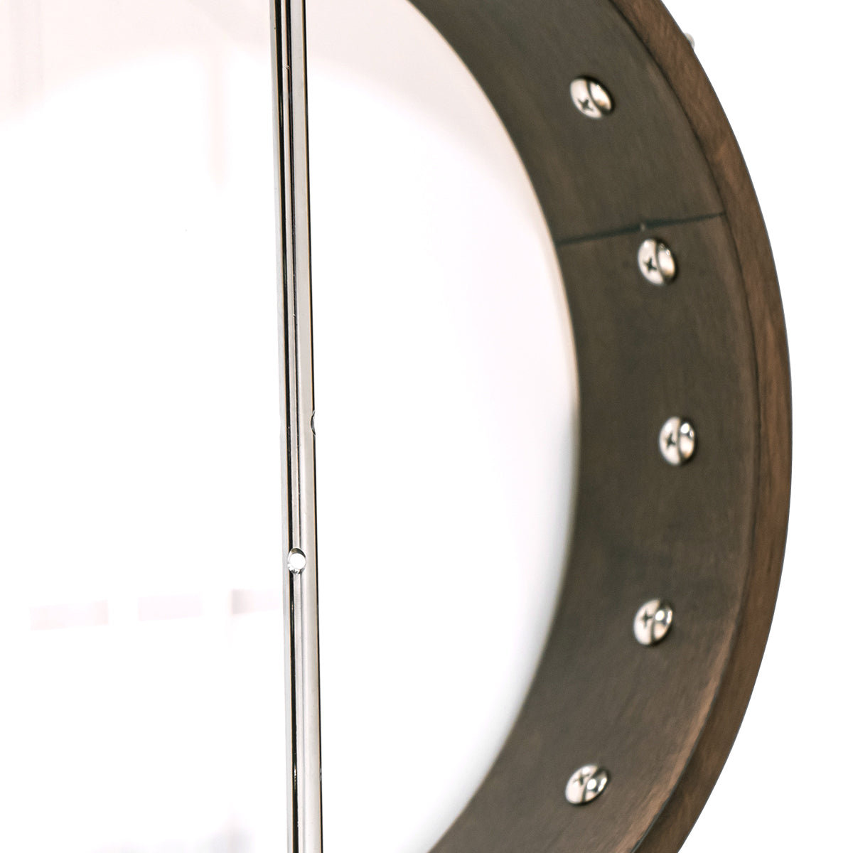 Gold Tone - CC-50: Cripple Creek Banjo with Gig Bag