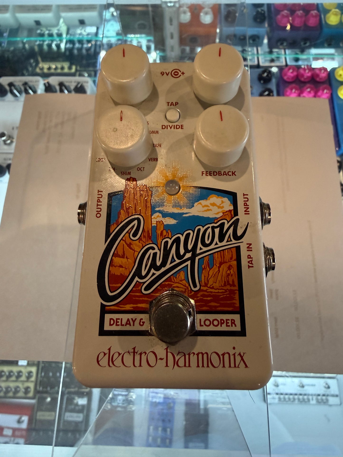 EHX Canyon Delay & Looper (USED)