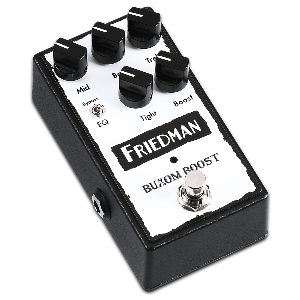 Friedman Buxom Boost