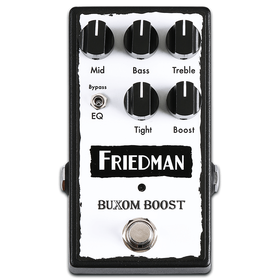 Friedman Buxom Boost