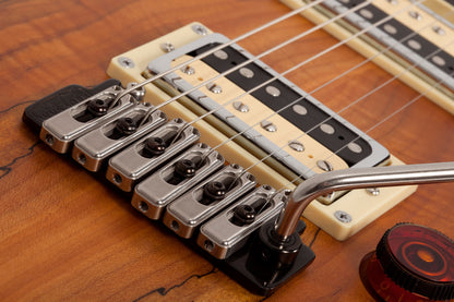 Schecter - C-1 Exotic