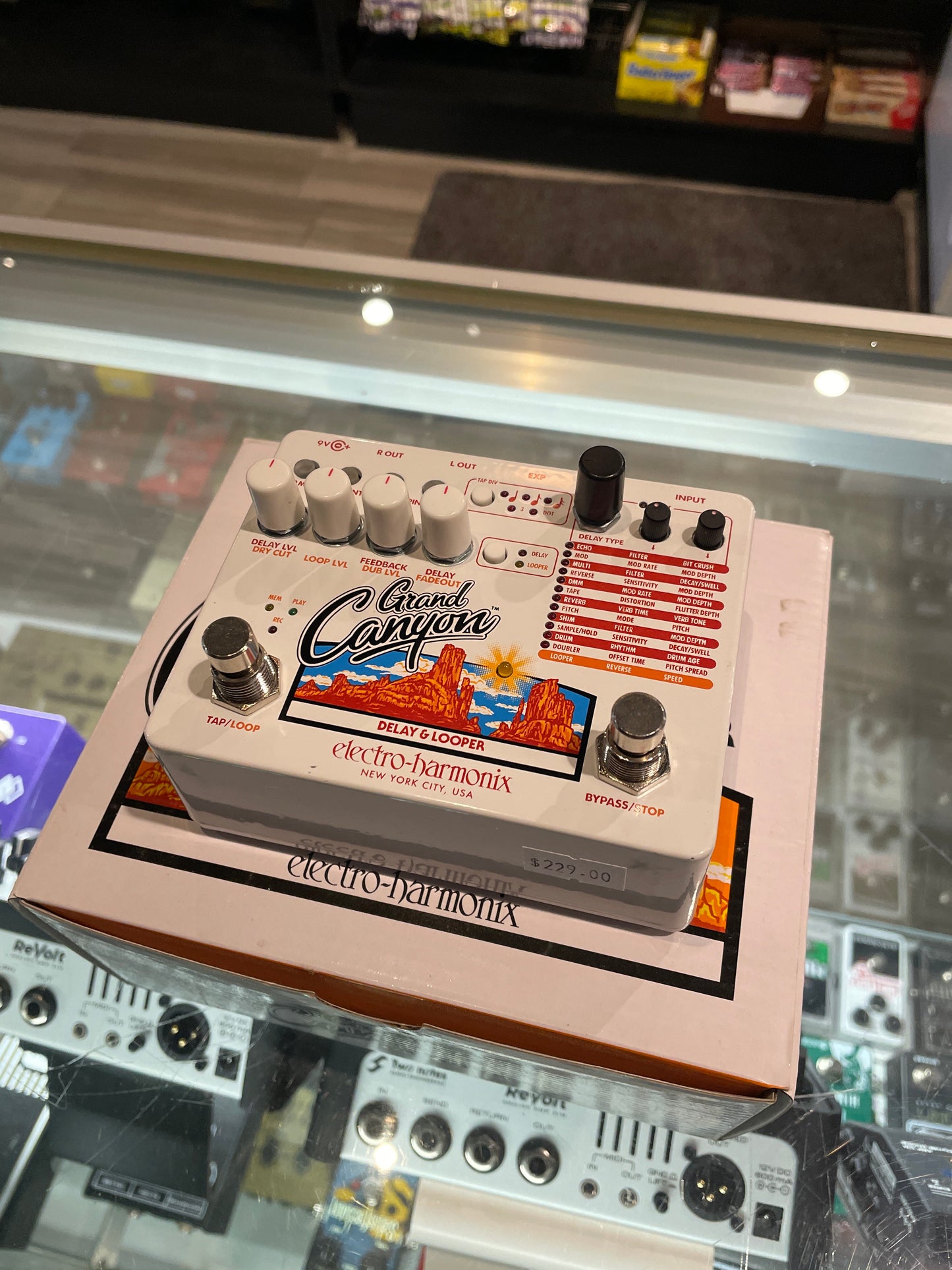 Electro-harmonix Grand Canyon Delay and Looper