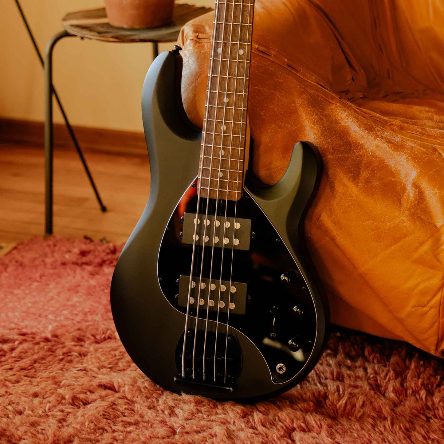 Sterling StingRay5 HH Electric 5 String Bass in Stealth Black