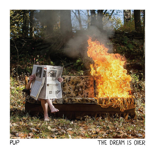 Pup -The Dream Is Over (Bronze & Orange Crush Split) - (USED)