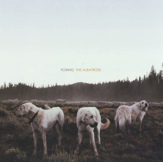 Foxing - The Albatross (White/Cloudy Clear) - (USED)