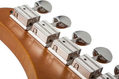 Schecter - PT Special