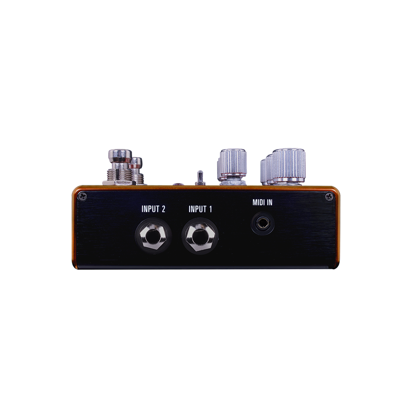 Source Audio Pathways Reverb and Tremelo