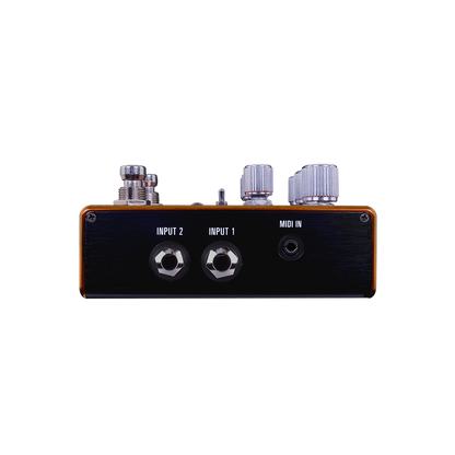 Source Audio Pathways Reverb and Tremelo