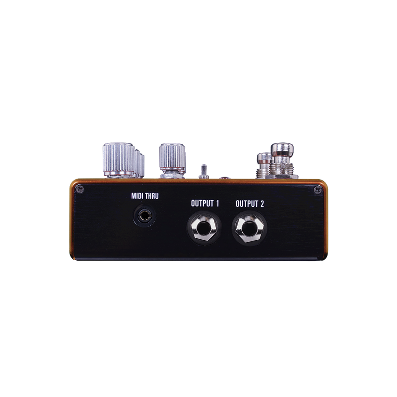 Source Audio Pathways Reverb and Tremelo
