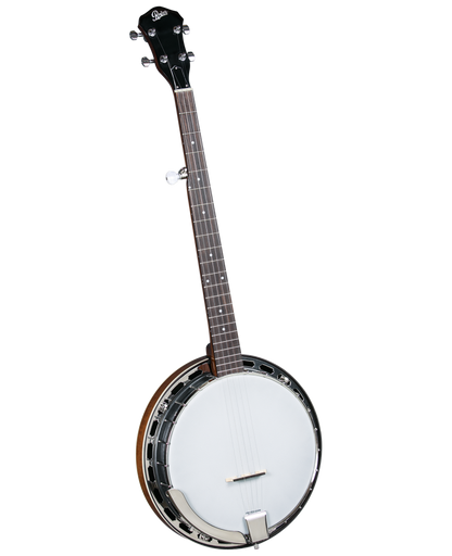 Rover RB-25 Student 5-String Resonator Banjo w/ Gig Bag