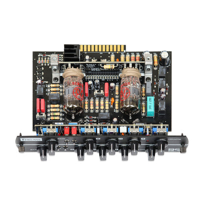 SYNERGY Friedman BE-DLX Preamp Module