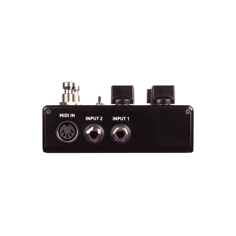 Source Audio Encounter Ambient Delay & Reverb