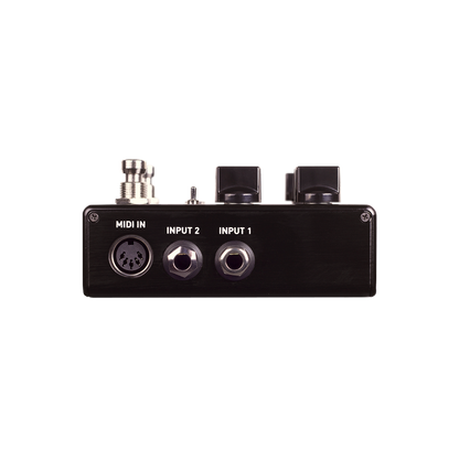 Source Audio Encounter Ambient Delay & Reverb