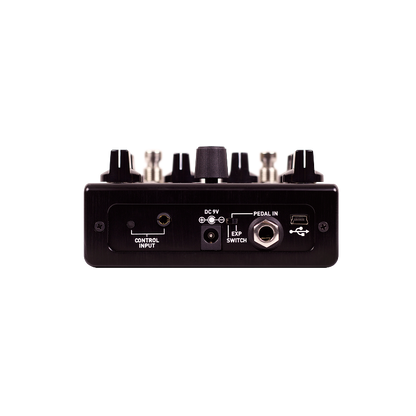 Source Audio Encounter Ambient Delay & Reverb