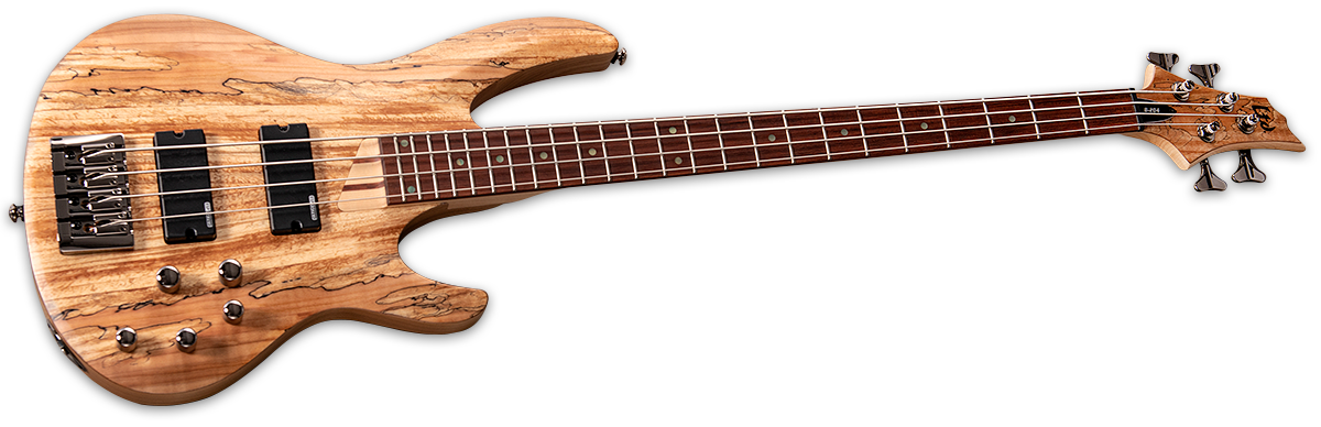 ESP -LTD B-204 Spalted Maple NS Electric Bass