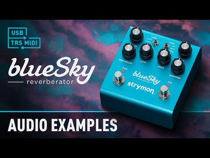 Strymon BlueSky Reverb effects pedal