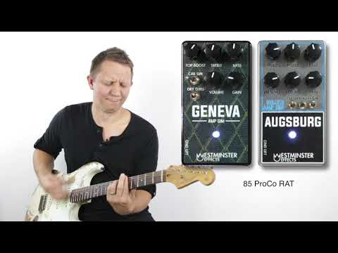 Westminster Effects Augsburg Deluxe Amp Sim – Lonestar Music Depot