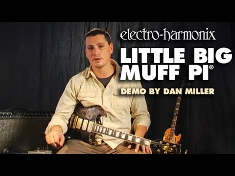  ELECTRO-HARMONIX EHX LITTLE BIG MUFF  OFFICIAL DEMO VIDEO WITH DAN MILLER