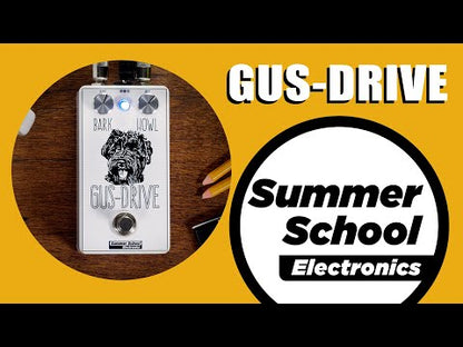 Summer School Electronics Gus-Drive