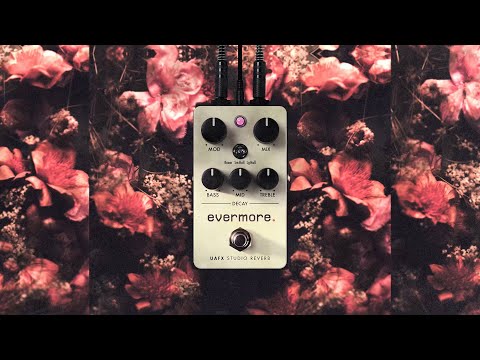 Universal Audio Compact Evermore Studio Reverb Pedal – Lonestar