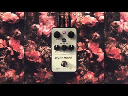 Universal Audio Compact Evermore Studio Reverb Pedal