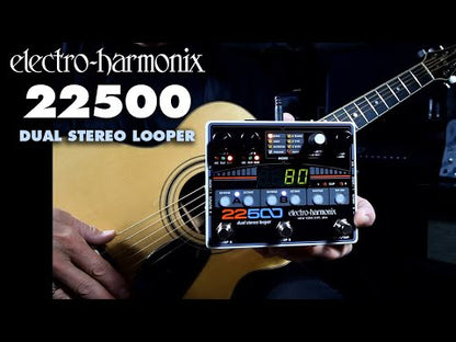 EHX 22500 Foot Controller