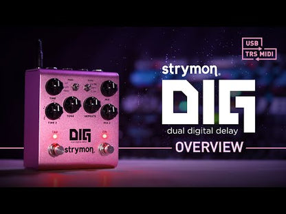 Strymon DIG V2 Dual Digital Delay