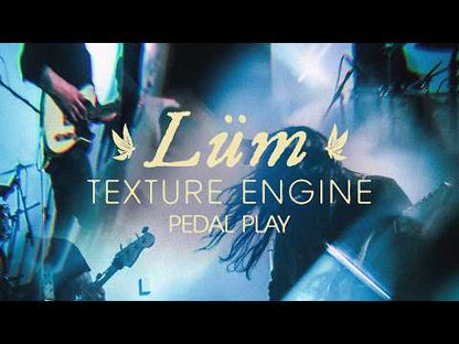 Walrus Audio Lum Texture Engine, Black