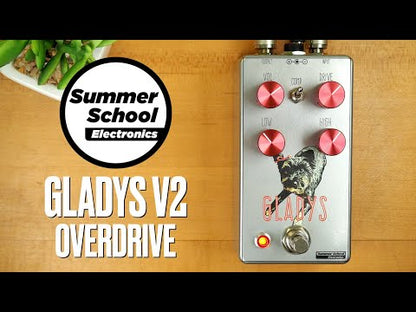 Summer School Electronics Gladys V2 Overdrive